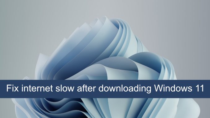 Hur man fixar internet långsamt efter nedladdning av Windows 11