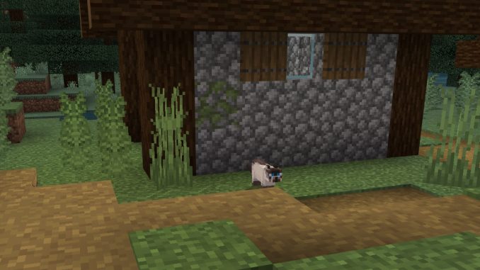 Hur man tämjer en katt i Minecraft