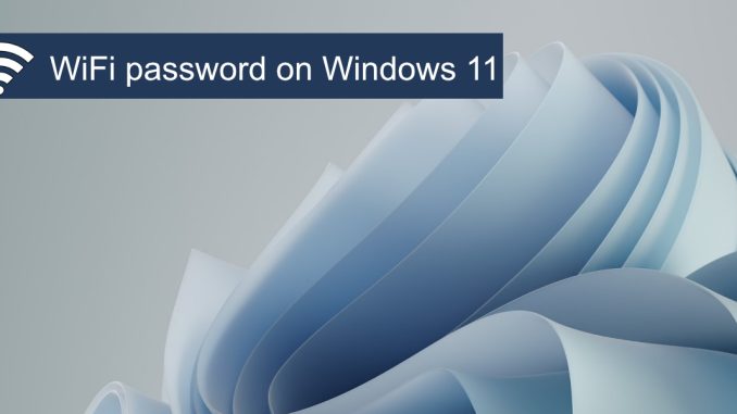 Hur man hittar WiFi-lösenord i Windows 11