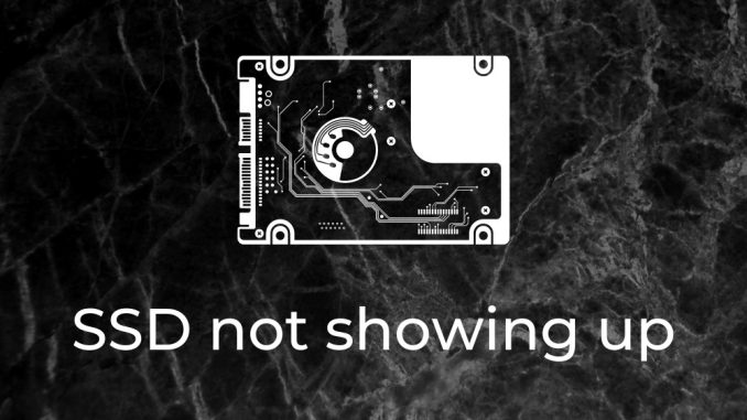 SSD visas inte? Vad ska man göra när en ny