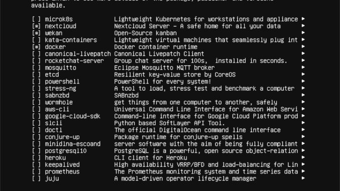 Hur man installerar Ubuntu Server 21.04 via USB