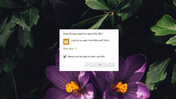 "Hur vill du öppna den här filen" på Windows 10