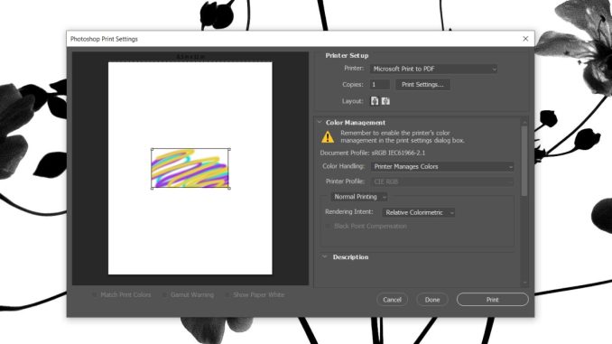 Photoshop kraschar hela tiden vid utskrift i Windows 10 (FULLSTÄNDIG
