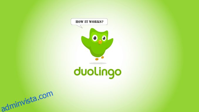 Vad är Duolingo och hur fungerar Duolingo? Tips och tricks
