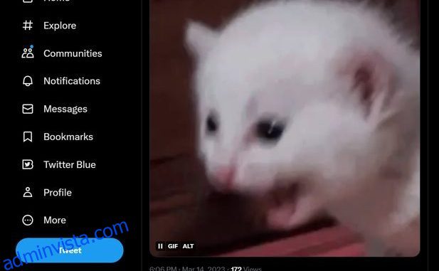 Hur man laddar ner GIF från Twitter