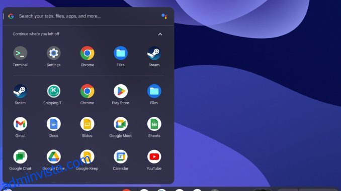 Allt du behöver veta om att installera Steam på Chromebook